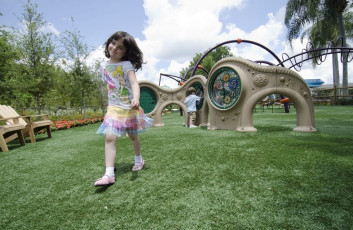 Playground Grass by ForeverLawn at Epcot Center in Disneyworld