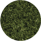 PGGreen2 Green Playground Grass