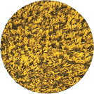 PGYellow2 Yellow Playground Grass